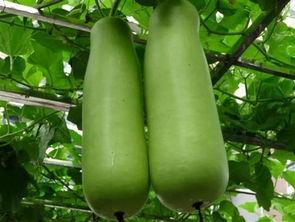 娱乐公司工作吃瓜