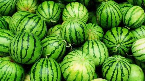 娱乐公司工作吃瓜