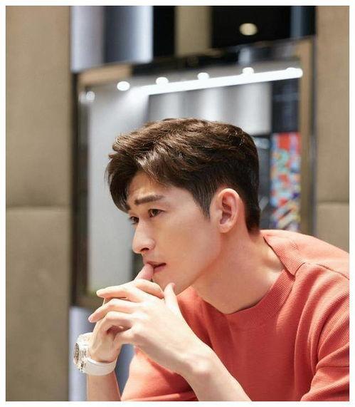 吃瓜娱乐圈张翰,娱乐圈的瓜田漫步者